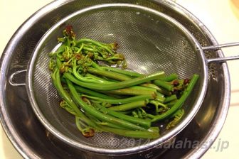 誰でも失敗しないでできる、重曹を使わない蕨(わらび)の灰汁抜き方法