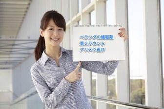 ベランダの蟻駆除第2ラウンド アリメツ再び