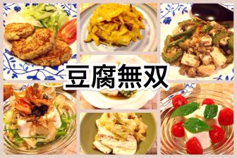 豆腐無双!ヘルシーでお手軽な晩酌レシピを公開するよ 【世界旅行編】
