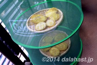 干し芋の作り方 保存して甘いものが欲しくなったらいつでも食べることができる干し芋