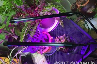 【レビュー】 植物育成LED照明(ライト)赤色・青色LED効果で光合成促進!室内でもグングン育つ