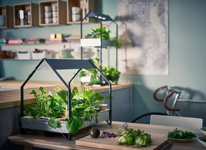 iDOO イドー 水耕栽培キット 室内 植物育成LEDライト付き 野菜栽培セット 水 すいこう栽培キット 水ポンプとファンを搭載 育苗キット