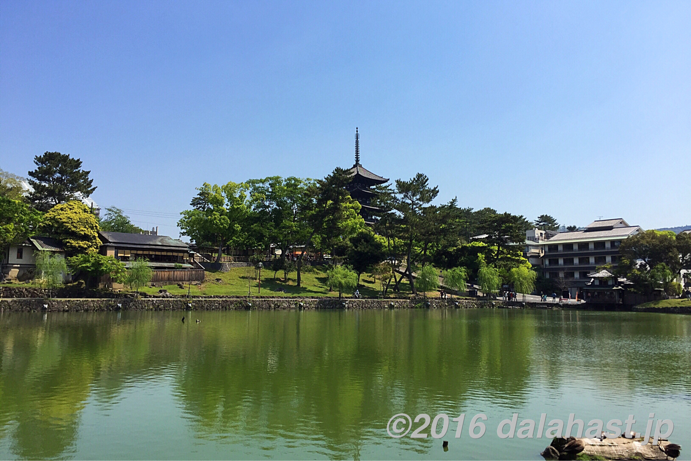 猿沢池と興福寺五重塔