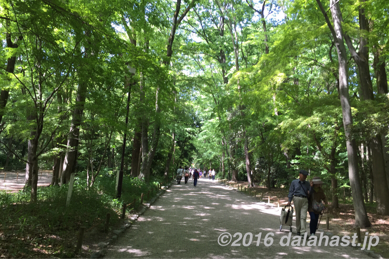 下鴨神社