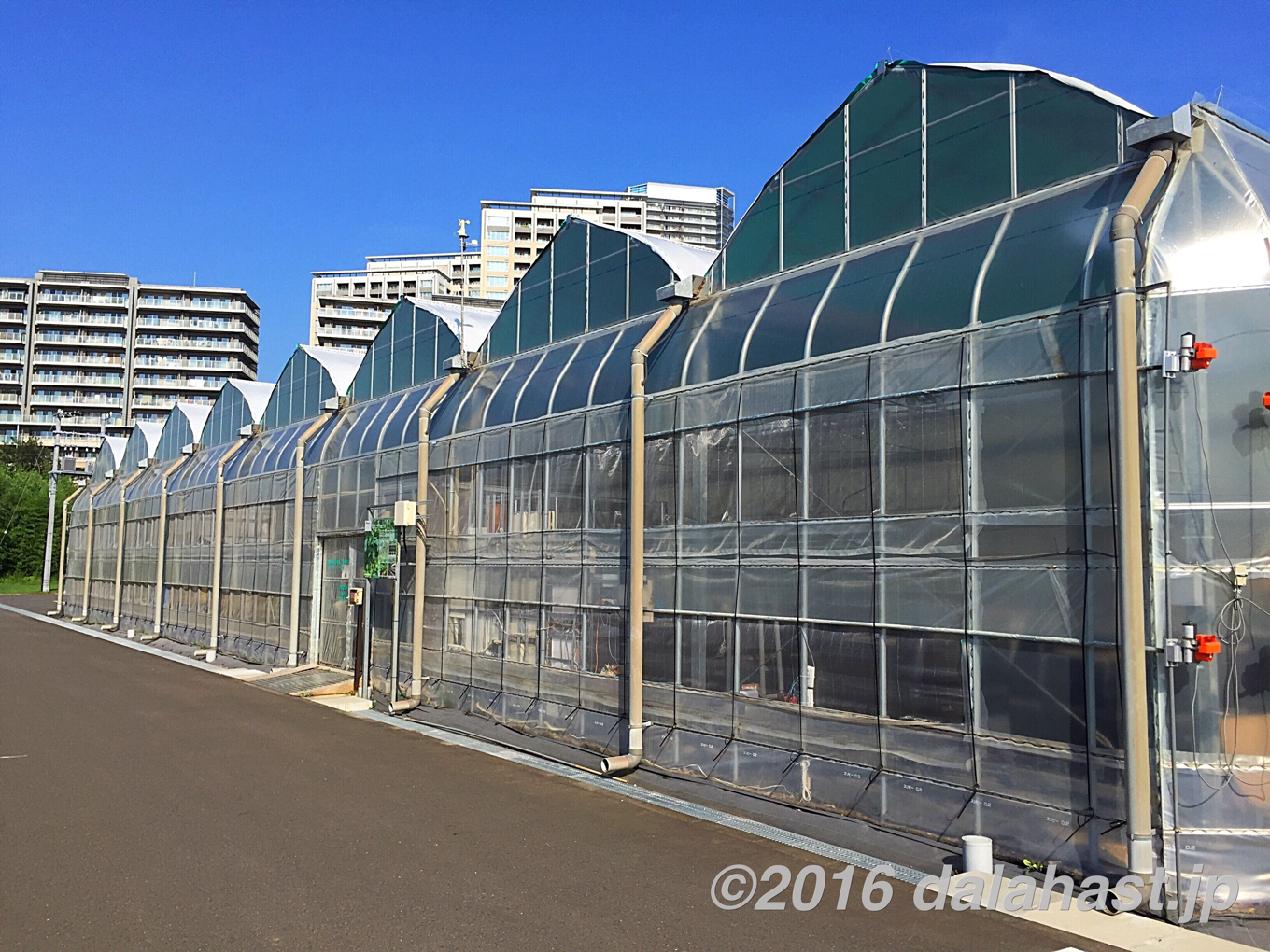 千葉大学植物工場