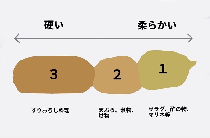 レンコン節