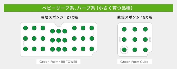 栽培スポンジの受け付け方リーフ系