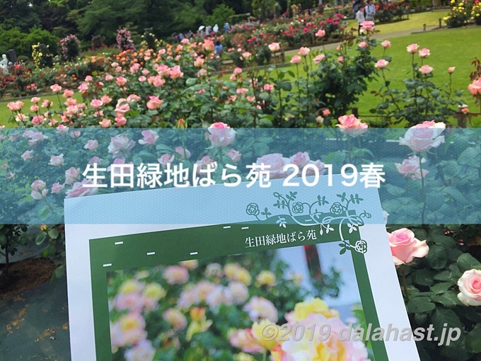 生田緑地ばら苑2019春