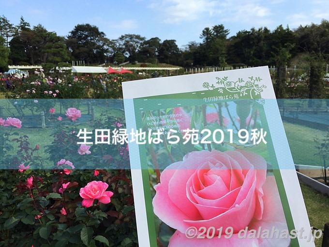 生田緑地ばら苑2019年秋