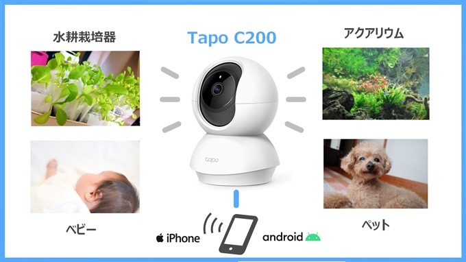 TapoC200活用事例